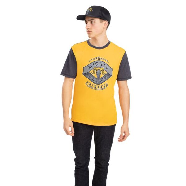 Gameday Vintage Ringer Tee Thumbnail