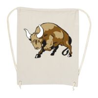 Canvas Drawstring Backpack Thumbnail