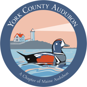 YorkCountyAudubon Thumbnail
